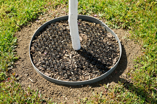 Tapis r&eacute;pulsif pour chat avec des picots pos&eacute; en rond autour du tronc d'un jeune arbre