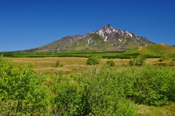 Fototapeta premium 利尻島 初夏の風景