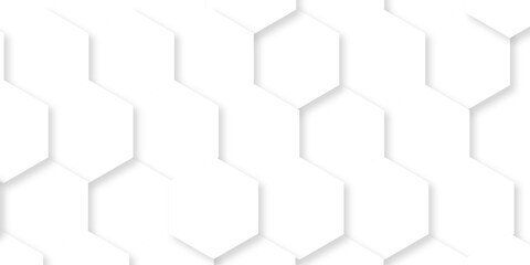 Fototapeta premium Minimal white hexagonal hexagon grid technology creative emboss light honeycomb polygonal web. abstract geometric science and mosaic tile with template texture background.