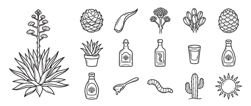 Collection of hand-drawn agave plant elements and related products, including bottles, a shot glass, and a worm, rendered in a clean line art style