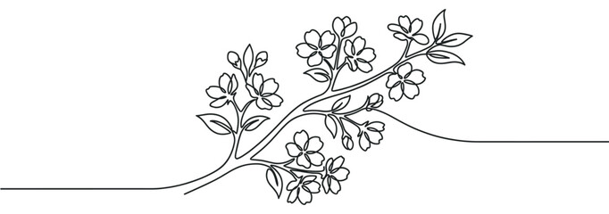 Fototapeta premium Beautiful continuous line drawing of a blooming cherry blossom branch with delicate flowers and leaves, creating an elegant floral design