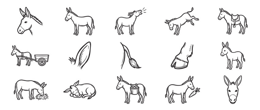 Collection of hand-drawn black and white donkey illustrations in various poses and actions, including a head, full body, braying, jumping, with a saddle, pulling a cart, eating hay,