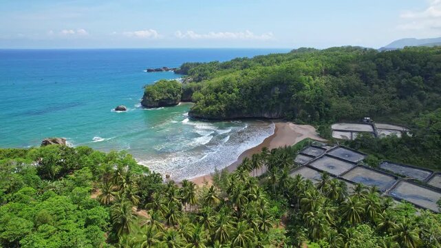 Aerial drone footage of Watu Papak beach bay, in Ngadirojo area, Pacitan regency , Java island, Indonesia, with blue sea waters, waves, fish farm ponds, and green vegetations cliffs