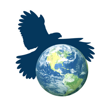 Symbol of globe with flying eagle.
