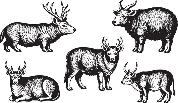 Black and white line of a herd of zebras in various dynamic poses line black and white monochrome animals