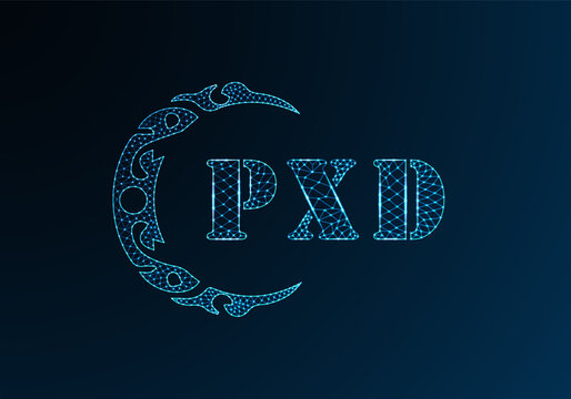 Low poly letter logo PXD design. PXD letter logo low poly vector design on blue color gradient background. PXD logo low poly design