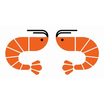 Shrimp Pair Illustration Minimal Animation