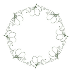 Fototapeta premium Minimal hand drawn olive wreath with fruits in line art style. Mediterranean vector circle ideal for labels, packaging, branding and menu design.