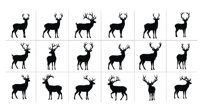 Collection of black deer silhouettes with various antler shapes and poses on white background for design and decoration