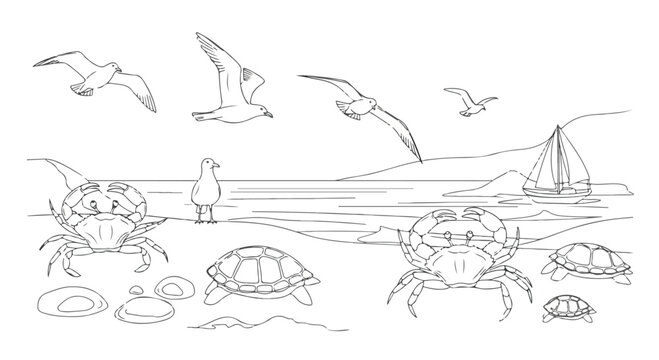Minimalist beach line art vector, coastal landscape with crabs and sea turtles, nautical scene featuring seagulls and sailboat for coloring book