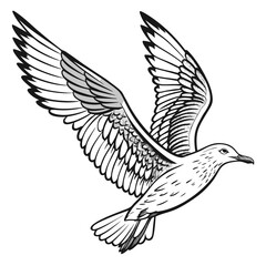 Obraz premium A detailed black and white illustration depicts a seagull soaring gracefully through the air with wings fully extended high quality