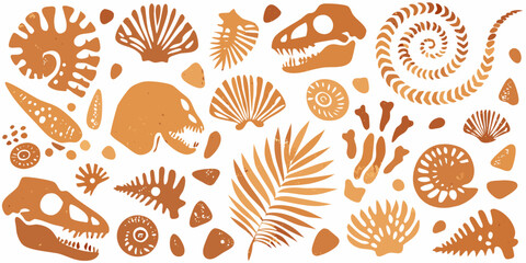 A collection of stylized orange toned fossil and plant illustrations © Bithi