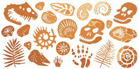 Fossil and skull illustrations in a warm earthy orange tone © Bithi