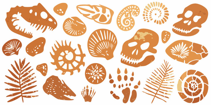 Fossil and skull illustrations in a warm earthy orange tone