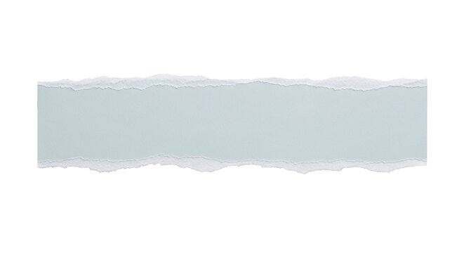 Long strip of ripped paper with textured edge.