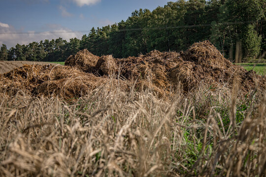 Organic manure pile on rural farm field landscape