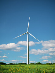 Fototapeta premium Wind Turbines Generating Renewable Energy in Green Landscape, Sustainable Electricity and Clean Environment Concept