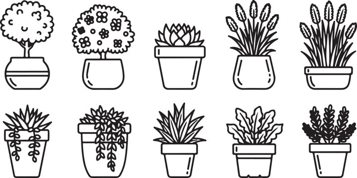 Various types of trees and plants growing in clay pots Vector