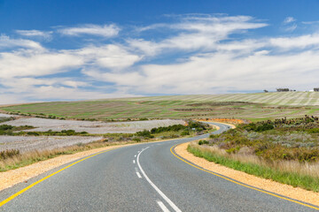 Fototapeta premium Asphalt road in South Africa surrounded by fields