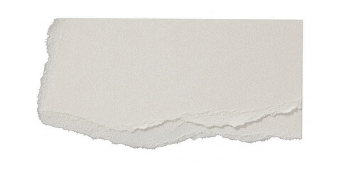 Obraz premium Torn Paper Texture