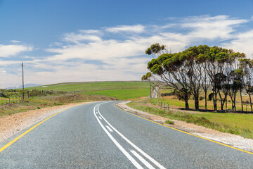 Fototapeta premium Asphalt road in South Africa surrounded by fields