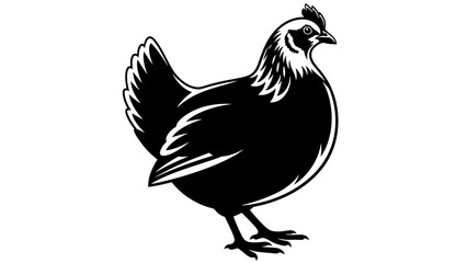 Fototapeta premium Black Silhouette of a Chicken Standing Isolated on White Background