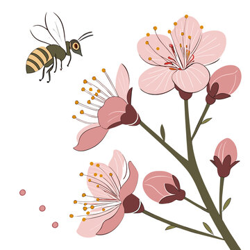 A charming illustration depicts a bee in flight approaching delicate pink blossoms on a blossoming branch showcasing spring s beauty