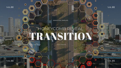 Honeycomb Reveal Transition / Horizontal / Part 01