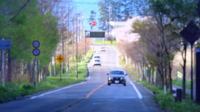 桜が咲く春の洞爺湖風景　湖へと続く道　北海道