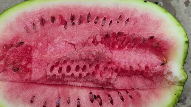 Close-up of a freshly cut watermelon half, showcasing its vibrant red pulp and numerous black seeds, ready for a refreshing summer snack, highlighting its natural texture