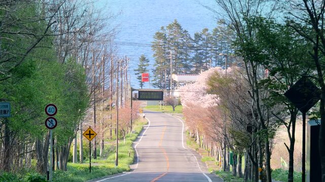 桜が咲く春の洞爺湖風景　湖へと続く道　北海道