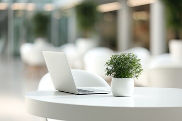 Fototapeta premium Laptop and plant on a white table in a bright, modern indoor space