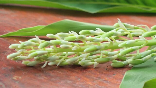 Galangal flowers are aromatic tropical blooms from rhizome plants used in cuisine.