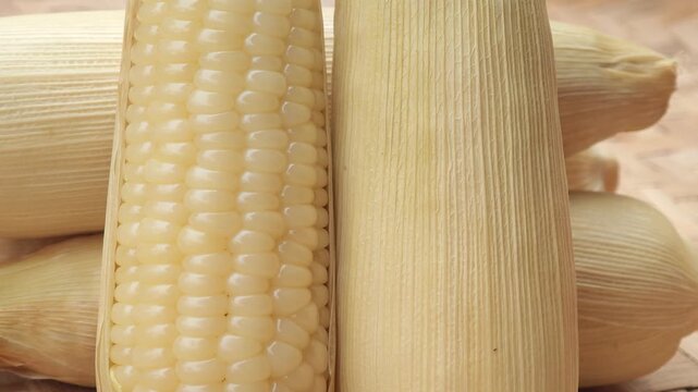 Boiled White corn on white background close up
