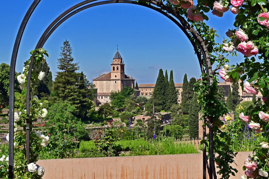 Granada, giardini e roseti in fiore dell'Alhambra, Andalusia, Spagna