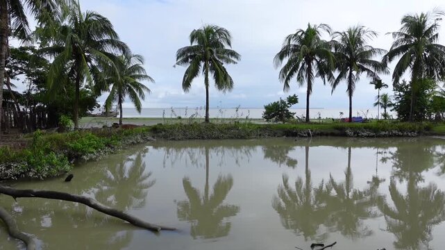Nature of Dhal Char. At southernmost island of Bhola district in Bangladesh. The country's remotest permanently inhabited islands, far out in the Bay of Bengal.