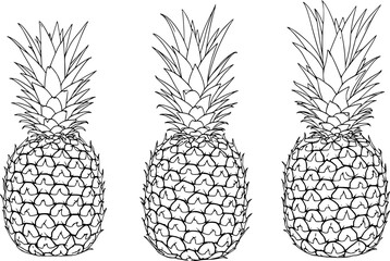 Fototapeta premium Detailed black and white line of pineapples arranged side by side a white background