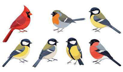 Playful cartoon wild bird collection with cardinal robin great tit and bullfinch in flat style © MstRuna