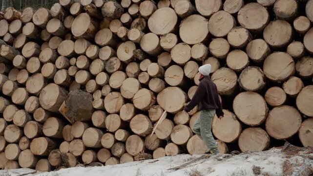 A woman walks past a wall of stacked logs in a forest. The ground is covered with snow, and trees surround her. It is a cold winter day.