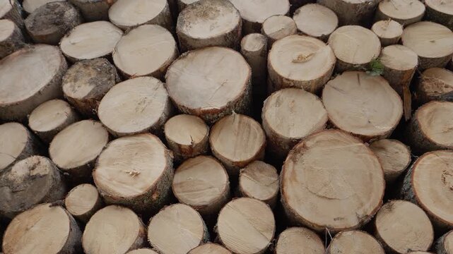 A close-up view of stacked wooden logs arranged on top of each other. The circular cuts on each log create a natural wood texture.