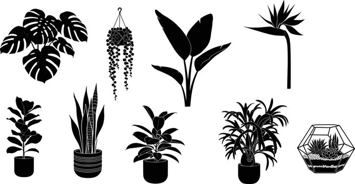 Black silhouette vector set of indoor house plants including monstera, snake plant, fiddle leaf fig, succulent terrarium, and bird of paradise for interior decor design.
