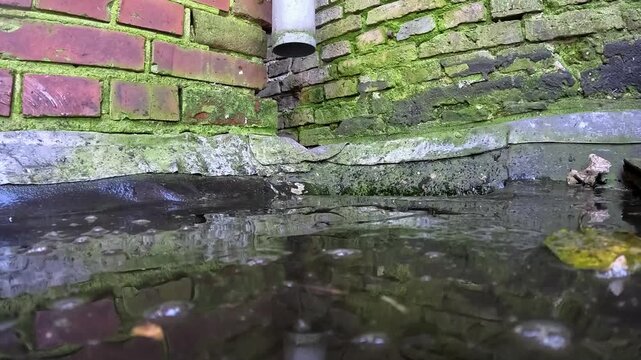 Video of scrubbing water of deck into a drain.