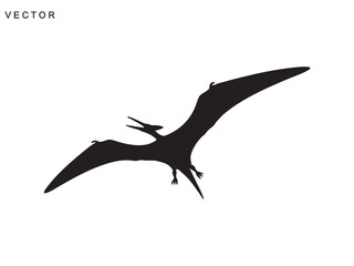 Pterodactyl dinosaur black silhouette vector illustration © Badman