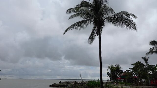 A view of massive river erosion on a remote riverbank in Dhalchar, Bhola district.