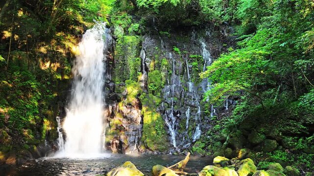 新緑に包まれた白糸の滝 夕刻の光芒が創り出す神秘的な滝のカーテン
「光と影が織りなす、阿蘇の静かな情熱。白糸の滝が見せる、一日のうちで最もドラマチックな表情を捉えました。」
阿蘇郡西原村(白糸の滝)
Shiraito Falls, enveloped in fresh greenery, creates a mystical curtain of water as the evening ligh