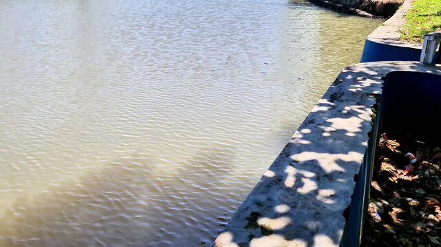 Serene Rural Irrigation Canal in Tropical Village Traditional Water Management Java Indonesia