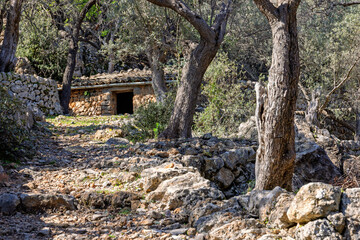 Path to an old stone croft in an olive orchard © Lars Johansson