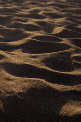 Fototapeta premium Wind Shaped Sand Ripples at Golden Hour. Close up of wind formed sand ripples with warm golden light and soft shadows.