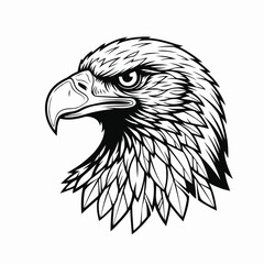 Obraz premium A striking illustration of an eagle's head showcasing sharp beak and intense gaze