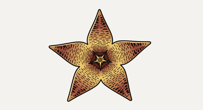 Stylized five-pointed star-shaped flower with radiating lines